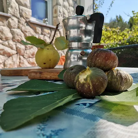 Διαμέρισμα Relax Punat