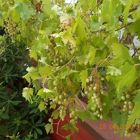 Διαμέρισμα Relax